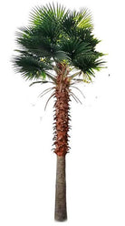13ft artificial Mexican Fan Palm tree by Designer Plants USA with UV-resistant leaves, ideal for outdoor decoration.