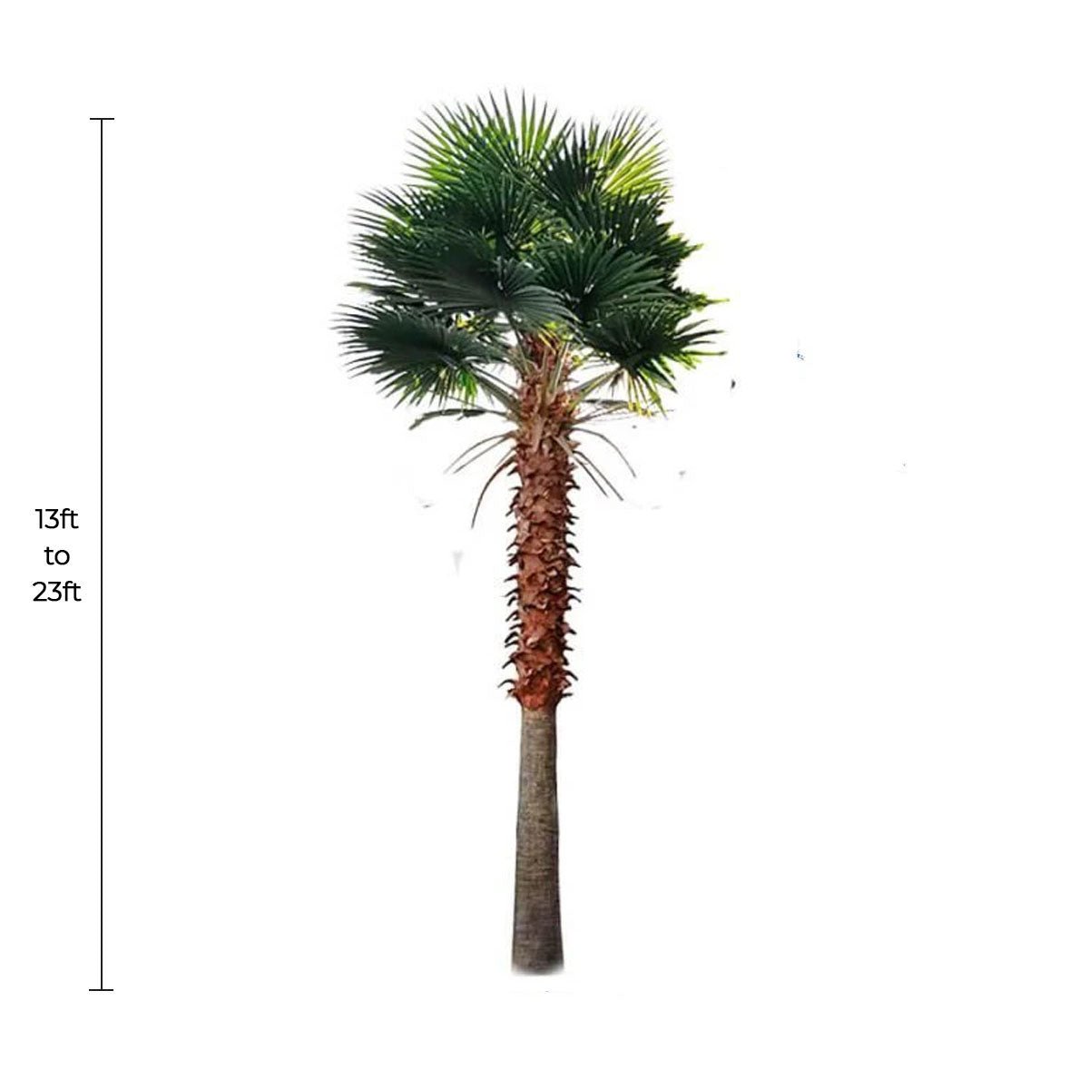 Tall Designer Plants USA Mexican Fan Palm artificial tree, 13 to 23 feet, UV resistant, showcasing lush green fronds.