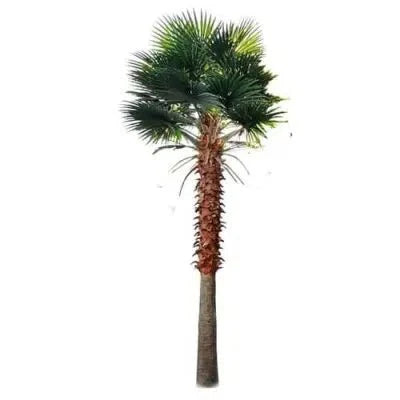 Artificial Mexican Fan Palm Tree by Designer Plants USA, 13-23ft tall, UV resistant, realistic-looking indoor or outdoor decorative plant