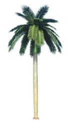 Tall Royal Palm artificial tree by Designer Plants USA, 13 to 23 feet, UV resistant with lush green fronds.