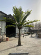 Large 13-23ft UV-resistant Royal Palm artificial tree by Designer Plants USA, ideal for commercial outdoor or indoor decor.