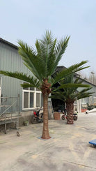 13ft to 23ft Designer Plants USA Royal Palm artificial tree with UV-resistant foliage, suitable for outdoor or indoor decor.