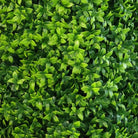 Close-up of Designer Plants USA Bright Buxus artificial tree 47.2 inches, showcasing lush green leaves and UV-resistant foliage.