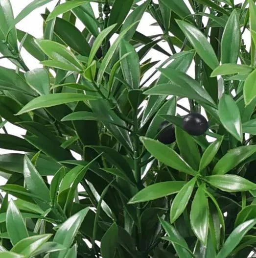 Close-up of a 47.2-inch UV-resistant olive artificial tree by Designer Plants USA, showing detailed green leaves and textured trunk.