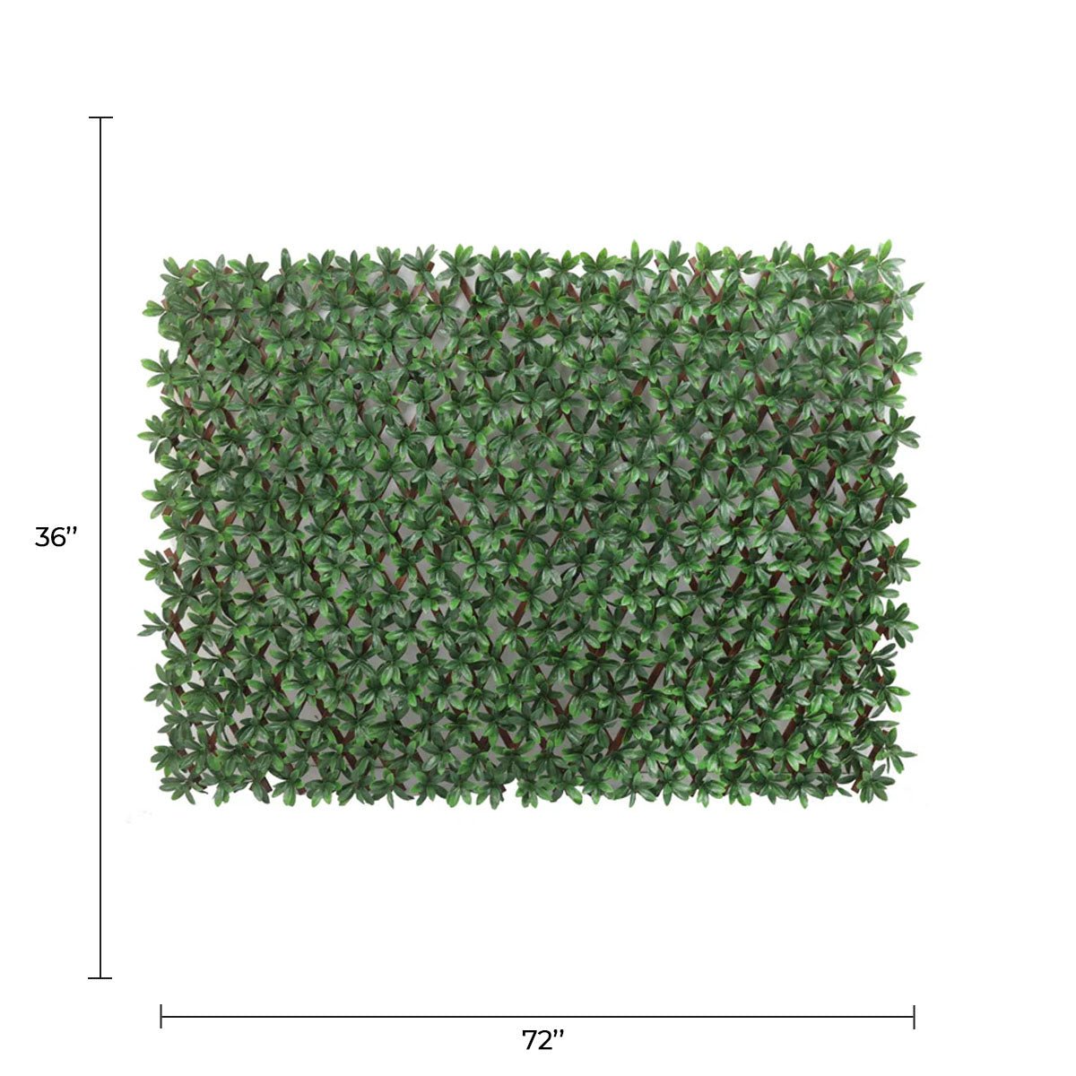 Expandable artificial English Laurel trellis privacy screen by Designer Plants USA, UV resistant, perfect for outdoor privacy fences.