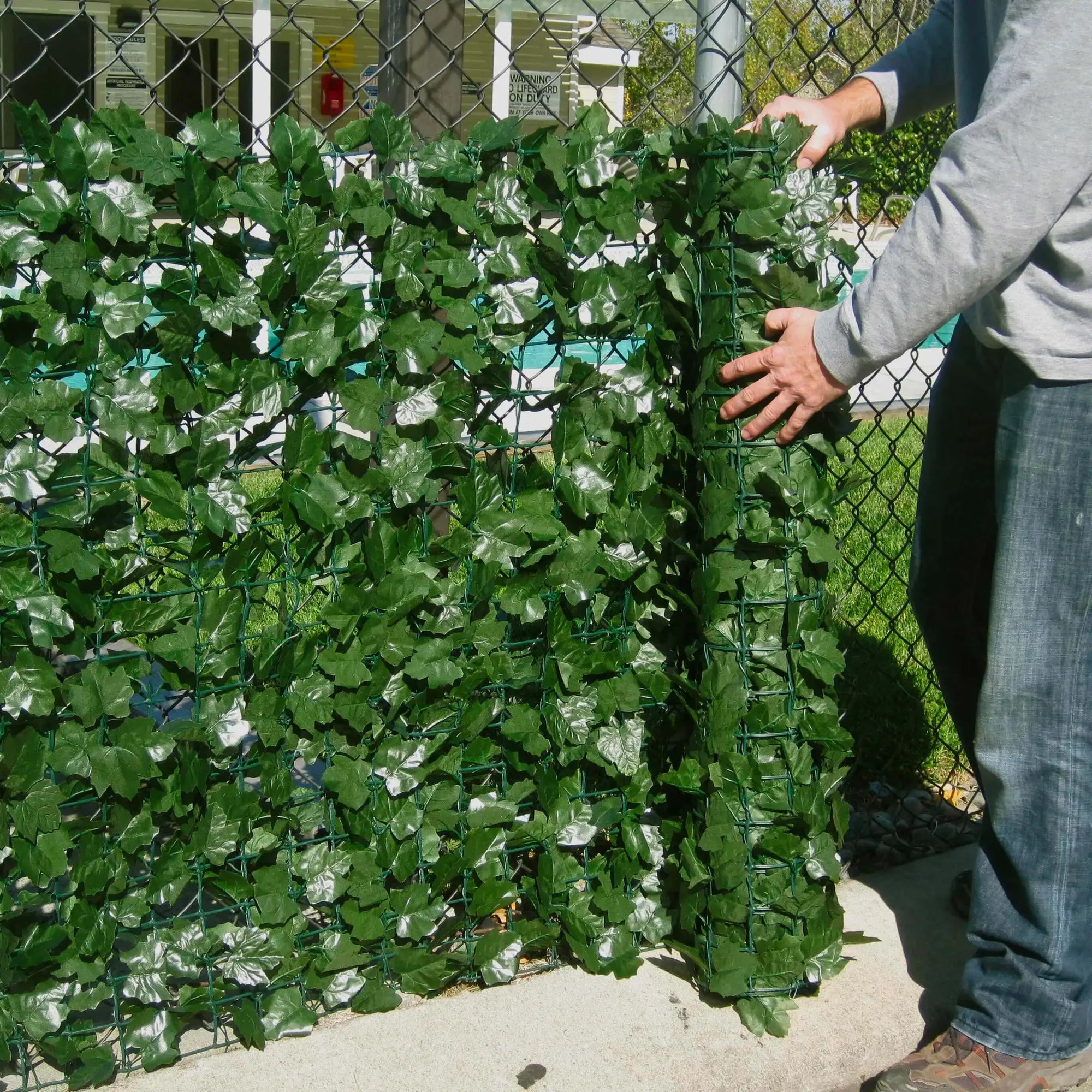 Artificial ivy privacy fence roll by Designer Plants USA, two-sided trellis with lush green faux greenery for outdoor privacy.