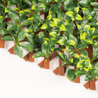 Jasmine expandable artificial trellis privacy screen with leafy foliage, PVC frame, UV resistant, measures 72x36 inches, by Designer Plants USA