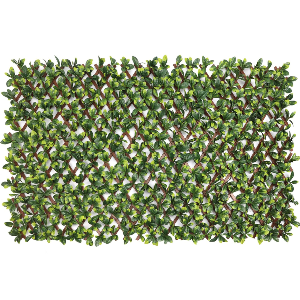 Designer Plants USA Ligustrum Ficus artificial trellis expanding privacy screen with UV-resistant, realistic greenery for outdoor privacy.