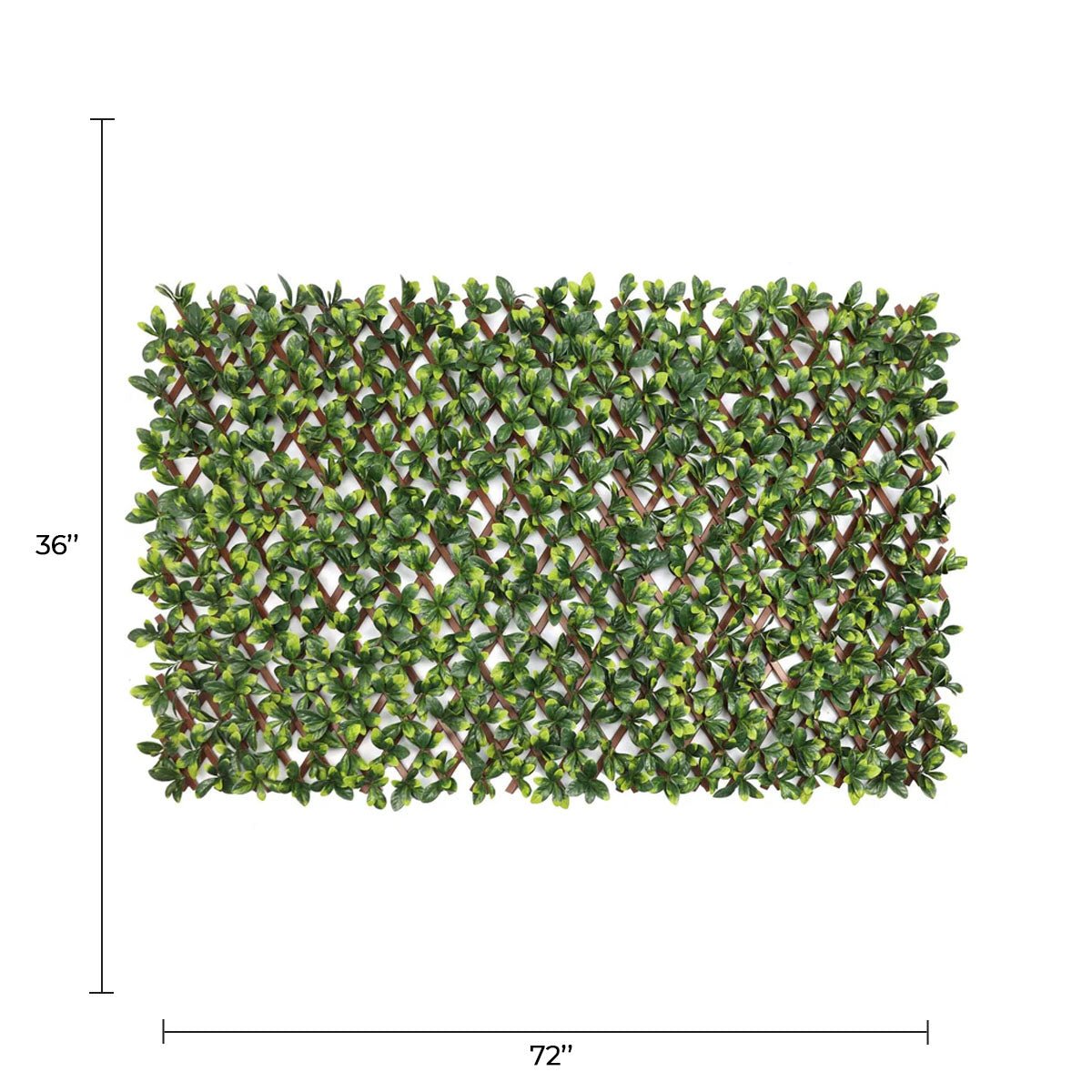 Expandable artificial Ligustrum and Ficus trellis privacy screen from Designer Plants USA, UV resistant, shown in a 72x36-inch size.