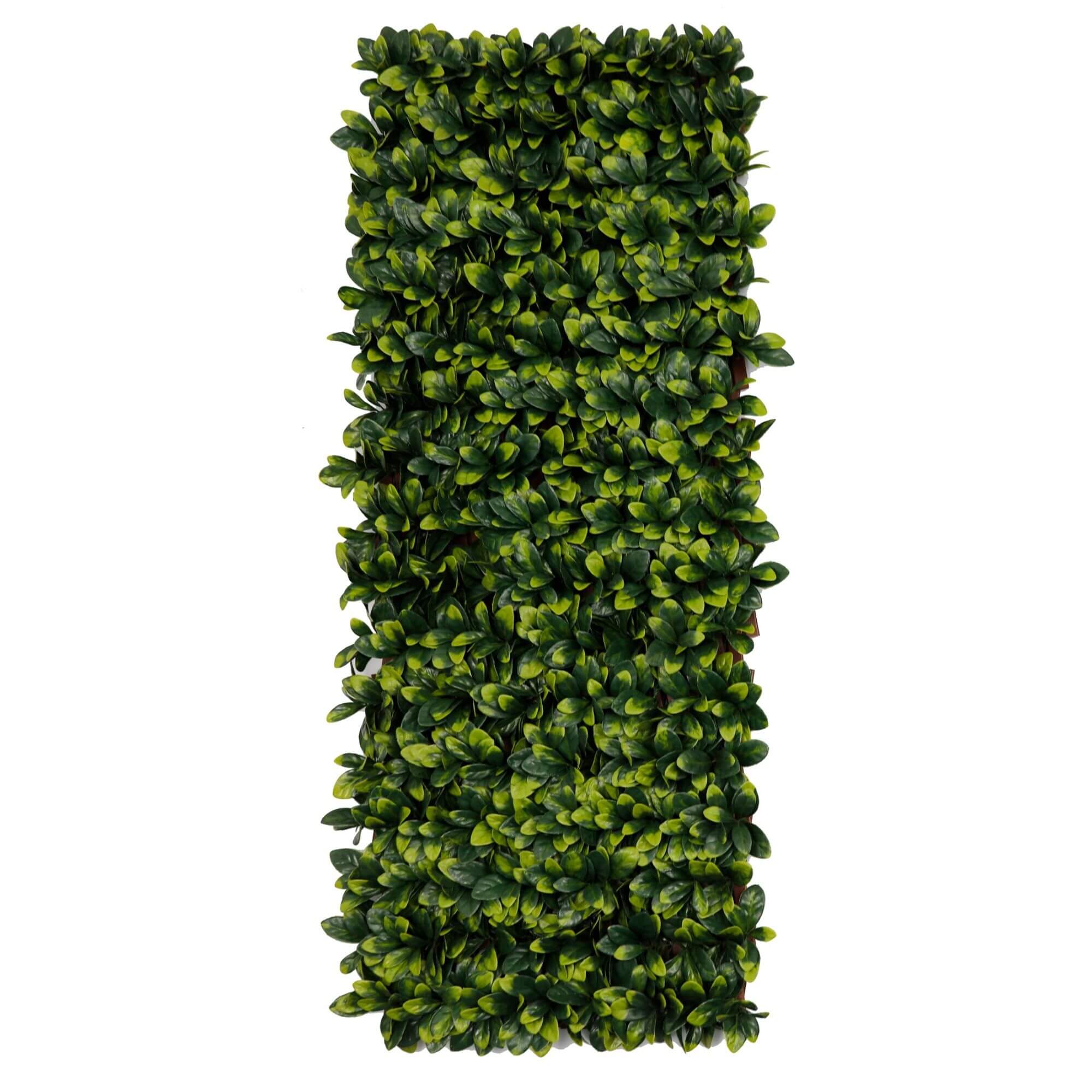 Artificial Ligustrum Ficus expandable trellis privacy screen by Designer Plants USA, UV resistant, with lush green foliage.