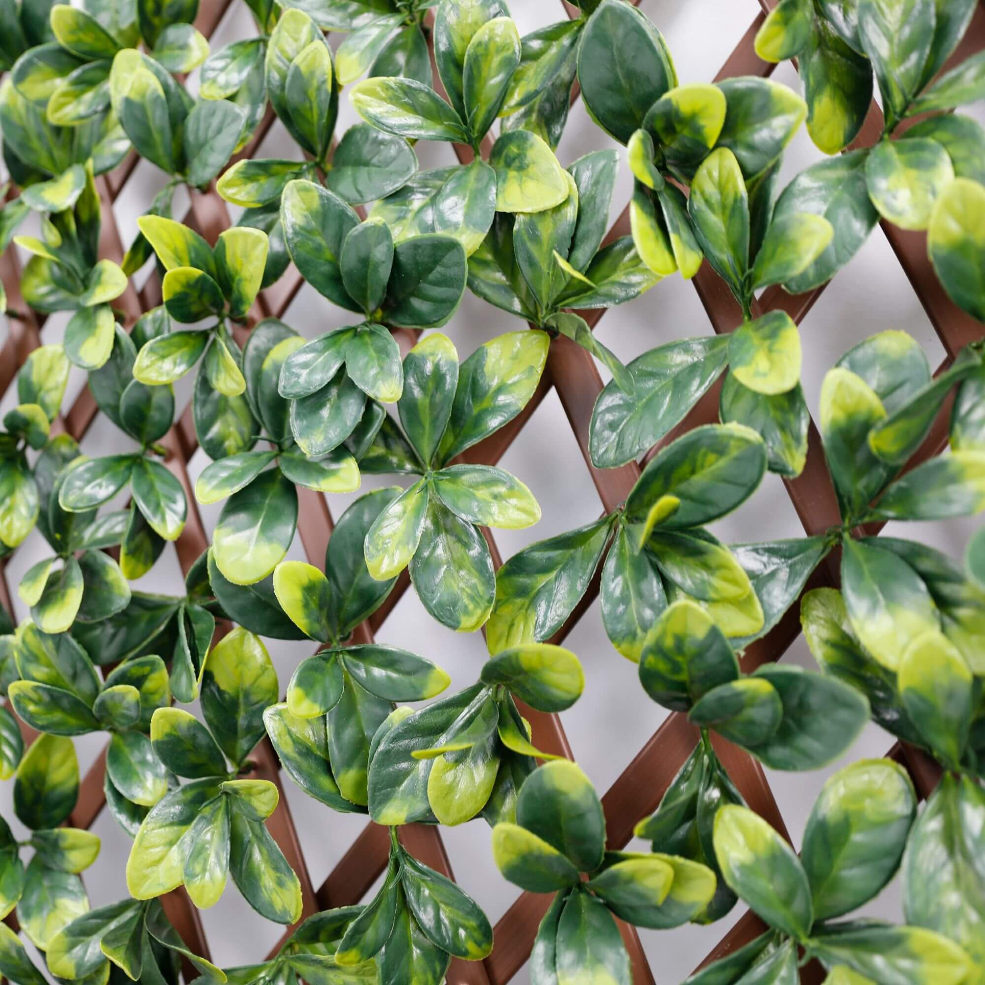 Expandable artificial trellis by Designer Plants USA with lush Ligustrum Ficus design, UV resistant for privacy screening.
