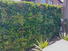 Amazon Jungle artificial vertical garden wall panel by Designer Plants USA, UV resistant living wall for interior or exterior use.