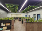 Amazon Jungle artificial vertical garden wall panel with lush green snake plants in modern office planter boxes, UV resistant, commercial grade.