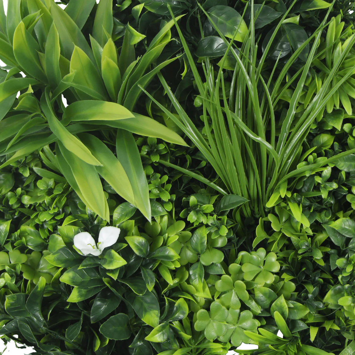 Artificial green wall disc with a white frame, UV resistant, commercial-grade living wall by Designer Plants USA.