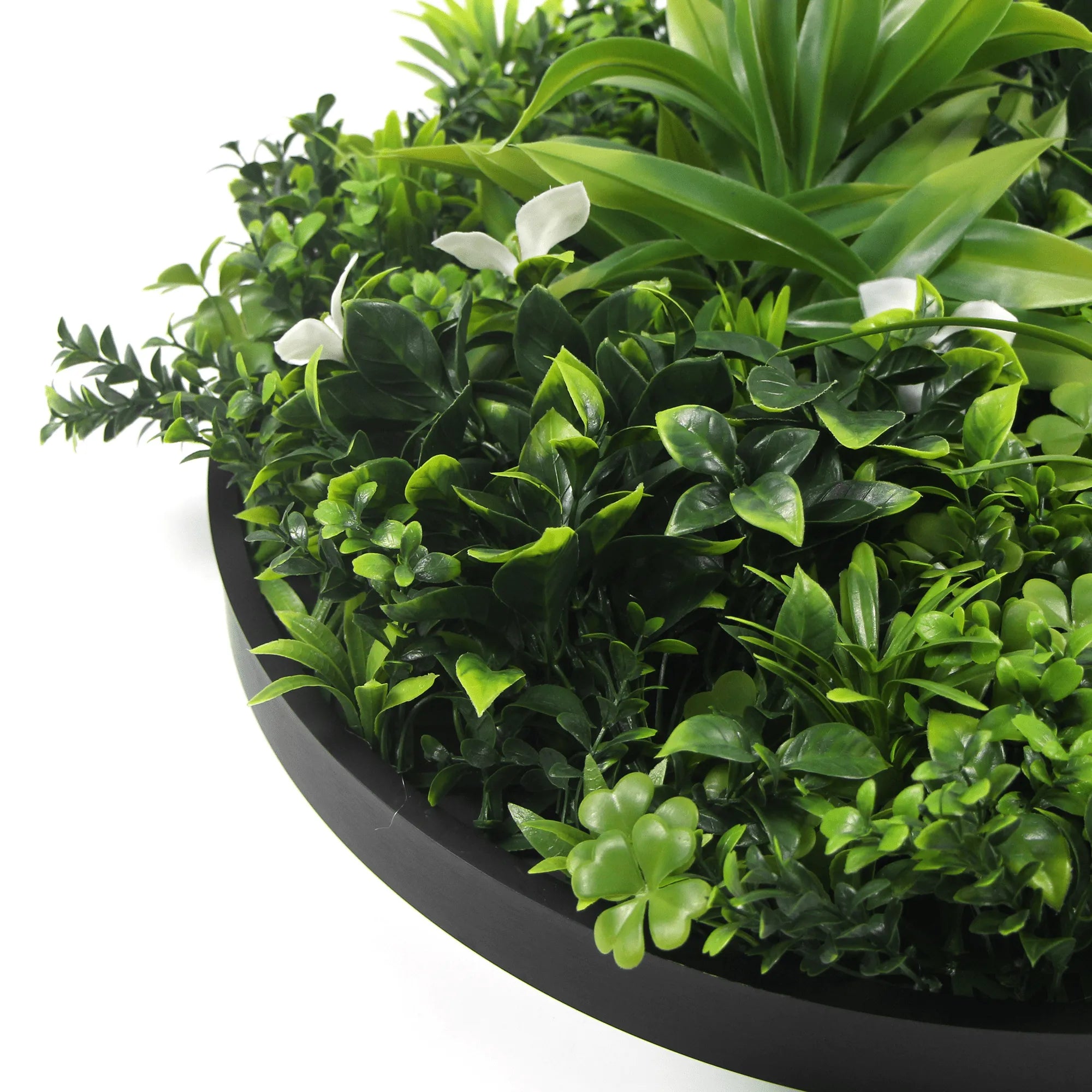 Artificial green wall disc with black frame, UV resistant, commercial-grade living wall from Designer Plants USA.