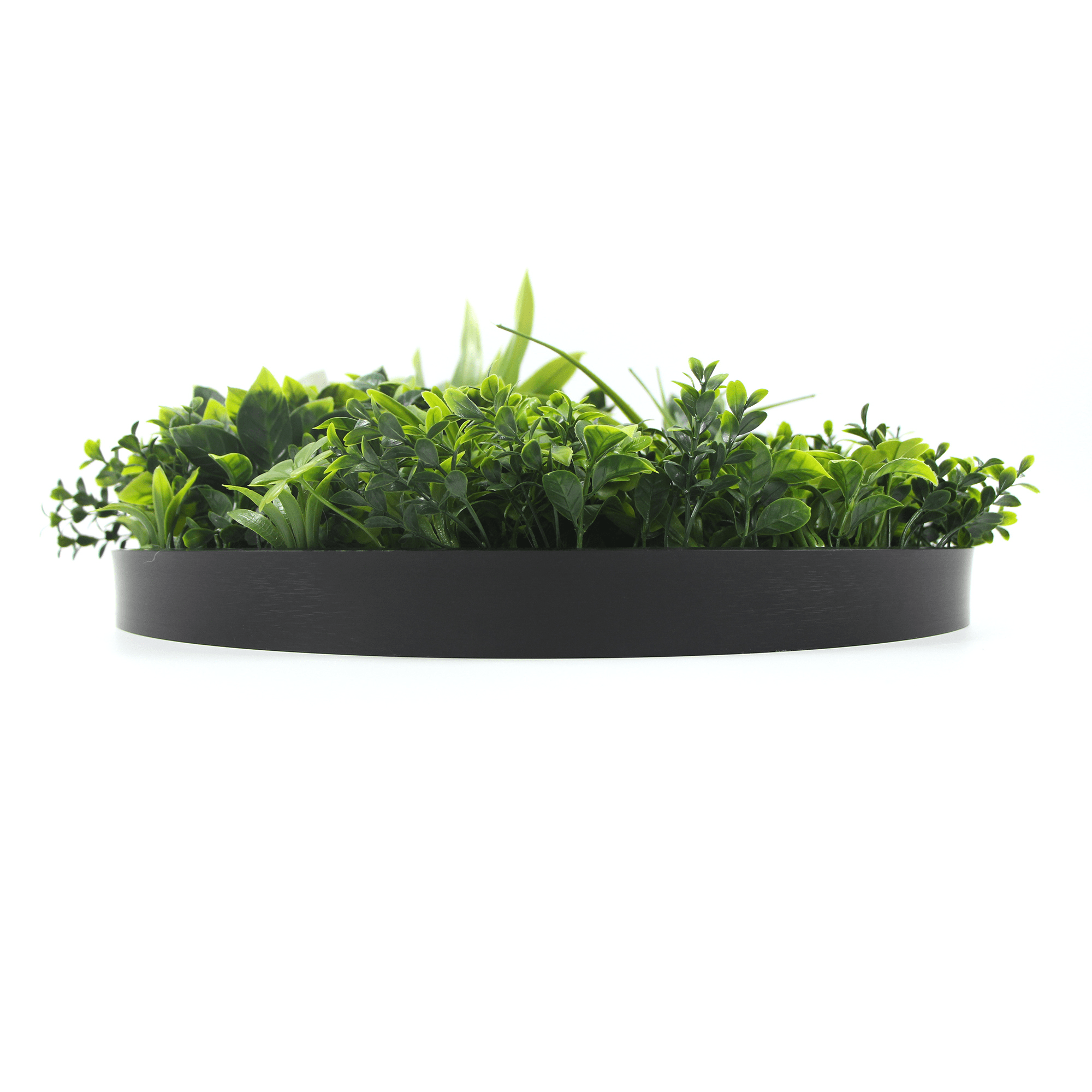 Artificial green wall disc with black frame, UV resistant, commercial-grade living wall by Designer Plants USA, 30-inch diameter.