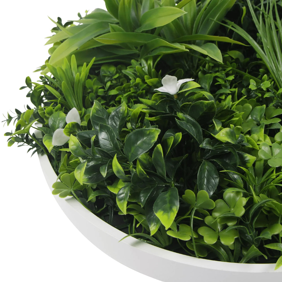 Artificial green wall disc with white frame, UV resistant, commercial grade living wall by Designer Plants USA.