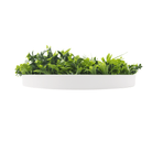 Artificial green wall disc with white frame, UV resistant for outdoor use, commercial-grade living wall by Designer Plants USA.