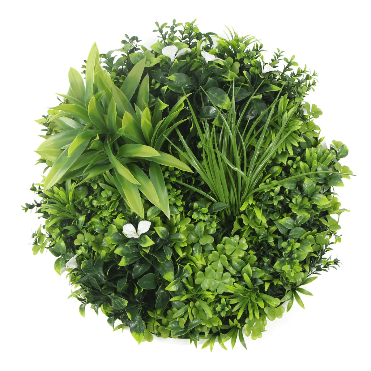 Artificial green wall disc with white frame, UV resistant, commercial-grade living wall by Designer Plants USA