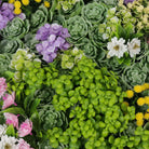 Artificial moss and succulent hanging wall art frame, 20 inches, UV resistant living wall decor by Designer Plants USA.