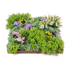Artificial moss and succulent hanging wall art frame, 20 inches, UV resistant, perfect for living wall decor by Designer Plants USA.
