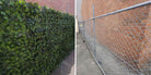 Artificial Boston Ivy vertical garden panel installed on cyclone mesh fence, UV resistant commercial-grade living wall from Designer Plants USA.