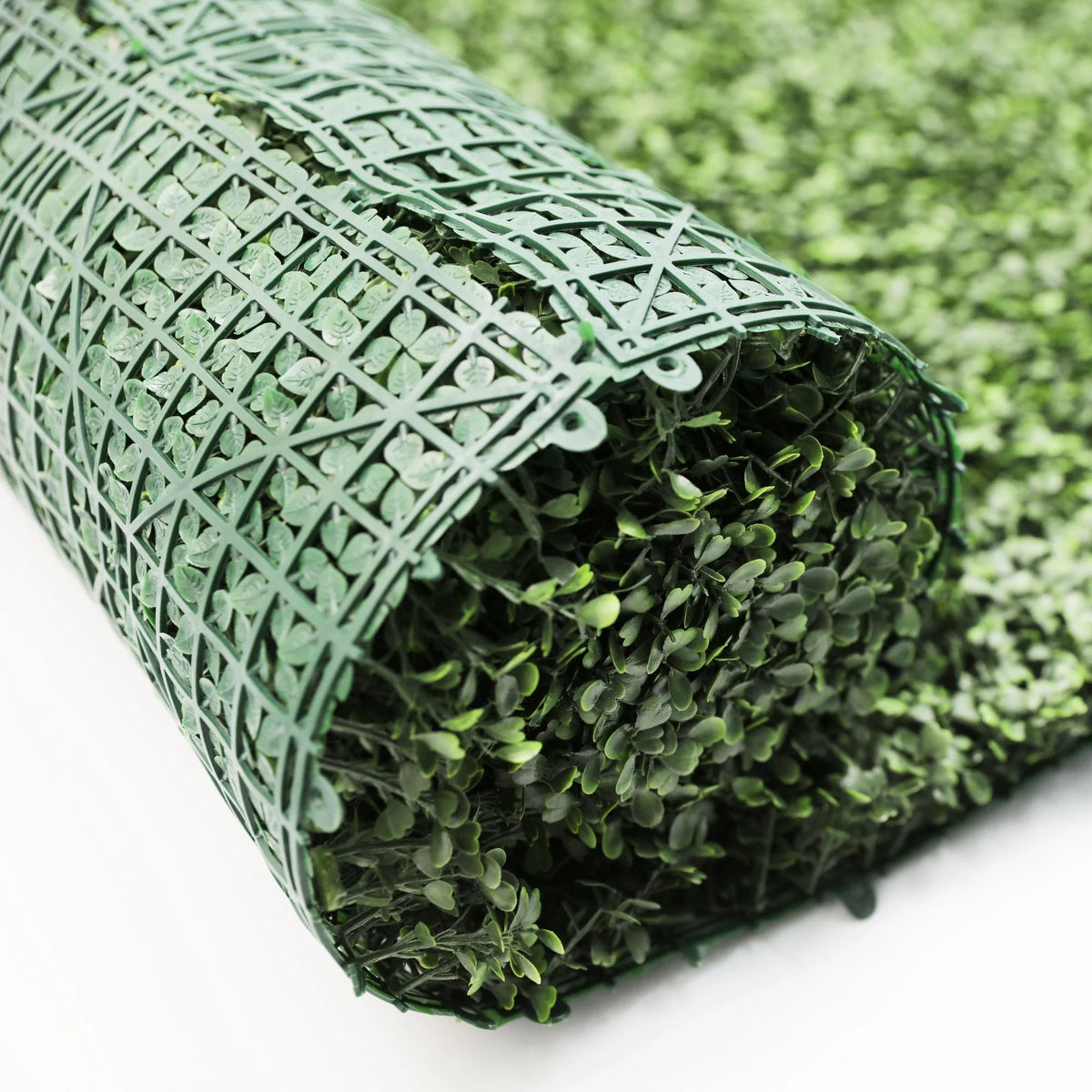 Artificial boxwood green wall roll by Designer Plants USA, UV resistant living wall with privacy backing, 10ft×3.3ft.