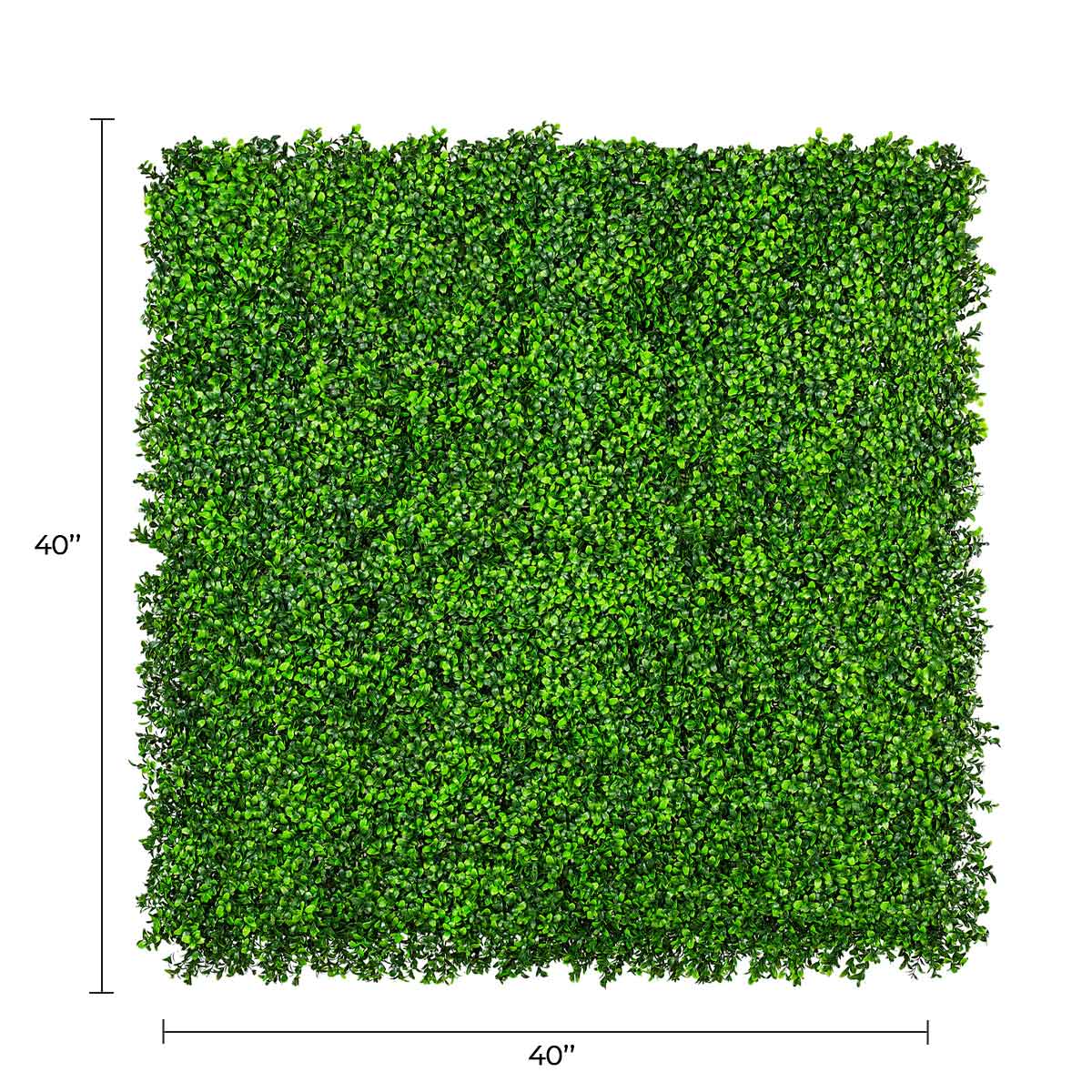 Artificial boxwood wall panel by Designer Plants USA, UV resistant green living wall for commercial or outdoor use, 40x40 inches.