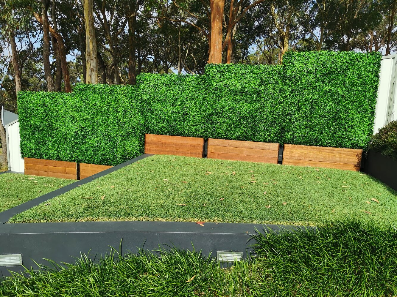 Artificial boxwood hedge installed on timber planter base, part of Designer Plants USA UV-resistant outdoor vertical garden wall panel.