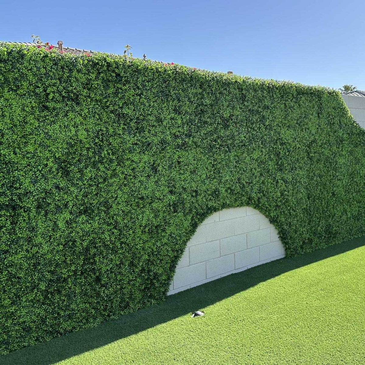 Bright Boxwood artificial vertical garden wall panel by Designer Plants USA, UV resistant, 40x40 inches, commercial-grade living wall.