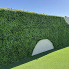 Bright Boxwood artificial vertical garden wall panel by Designer Plants USA, UV resistant, 40x40 inches, commercial-grade living wall.