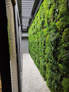 Artificial green wall panel by Designer Plants USA, 40x40 inch Country Fern vertical garden with UV-resistant, lush faux foliage.
