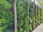 Vertical garden green wall panel with lush fern artificial plants, 40x40 inches, UV resistant commercial-grade living wall by Designer Plants USA.