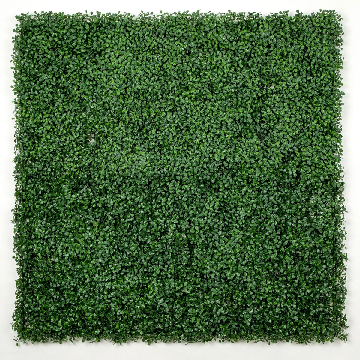 Dark boxwood artificial vertical garden panel from Designer Plants USA, UV resistant living wall with lush green foliage, 40x40 inches.
