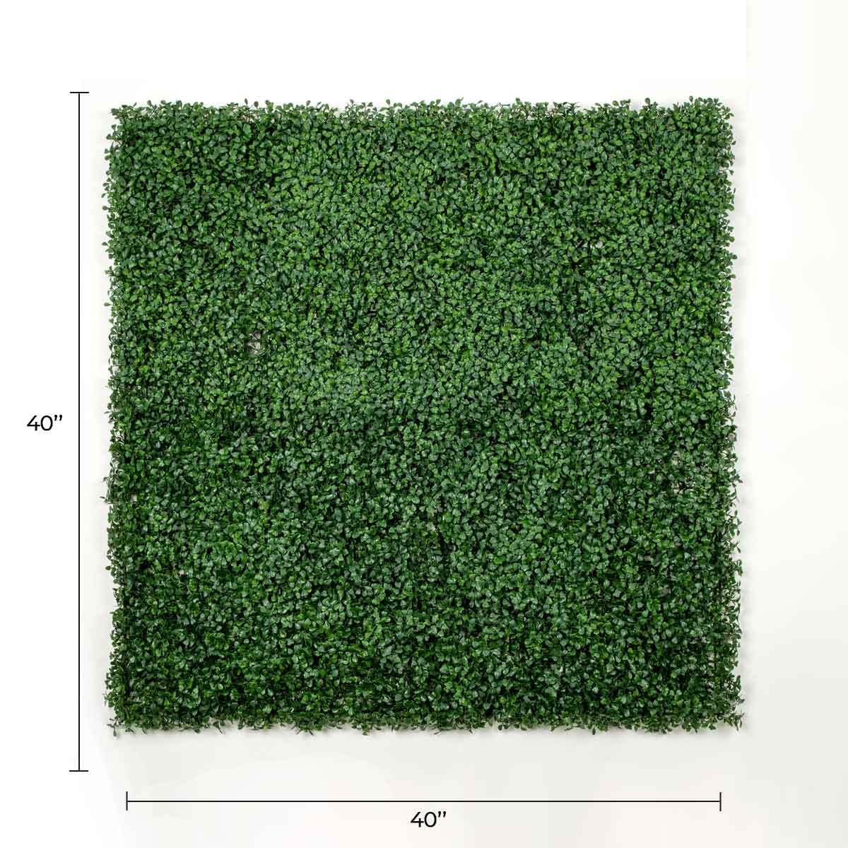 Dark boxwood artificial vertical garden wall panel by Designer Plants USA, UV resistant, 40x40 inch living wall for commercial use