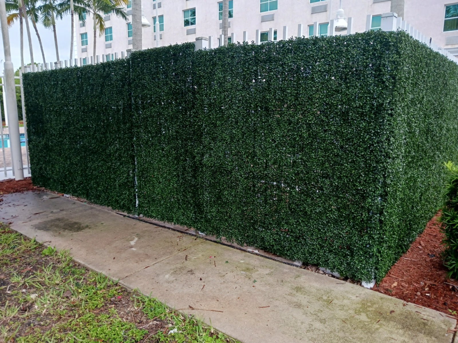 Dark boxwood artificial vertical garden panel by Designer Plants USA, 40x40 inches, UV resistant, for living wall decoration.