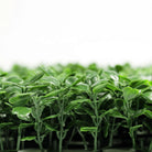 Dark boxwood artificial vertical garden panels set of 6, UV resistant living wall system by Designer Plants USA.