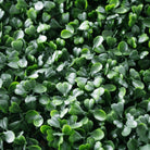Dark boxwood artificial vertical garden panels by Designer Plants USA, UV resistant living wall set of 6 for commercial use.