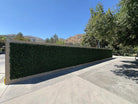 Artificial dark boxwood vertical garden panels by Designer Plants USA, UV resistant living wall set of 6 for commercial green wall displays.