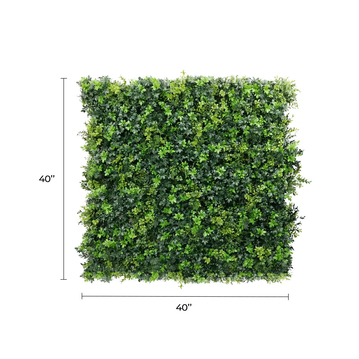 Dark green dense boxwood artificial vertical garden panel, 40x40 inches, UV resistant, fire-rated, metal-backed living wall by Designer Plants.