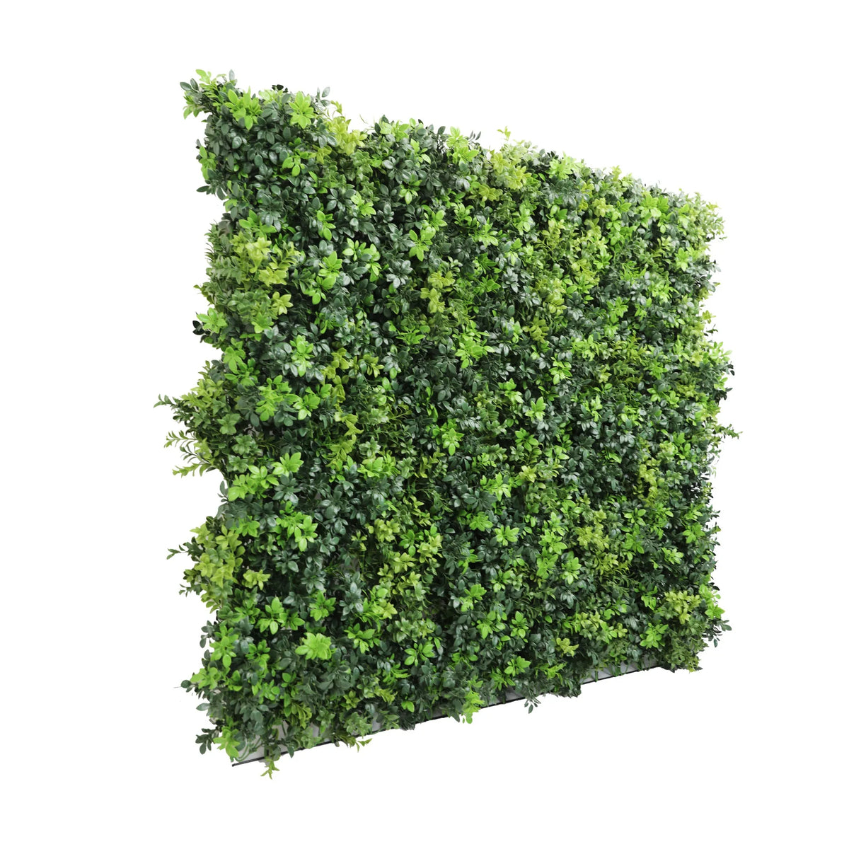 Dark green artificial boxwood vertical garden panel by Designer Plants USA, UV resistant, fire-rated, metal-backed for living wall displays.