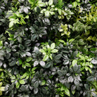 Dark green dense boxwood artificial vertical garden panel by Designer Plants USA, UV resistant, fire-rated, metal-backed, 40x40 inch size