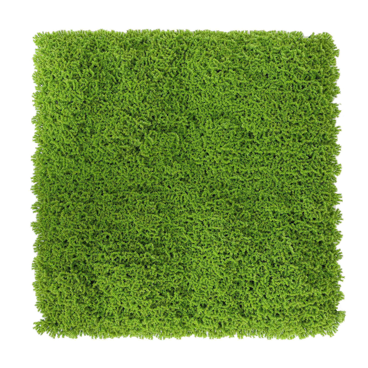 Artificial moss wall panel by Designer Plants USA, UV-resistant living wall with realistic green moss leaves, 33 sq ft commercial grade.