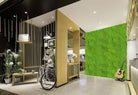 Artificial Evergreen Moss Green Wall Mat by Designer Plants USA, UV resistant commercial-grade living wall for indoor or outdoor use.