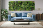 Three artificial evergreen vertical garden panels from Designer Plants USA, UV-resistant living wall set for commercial use.