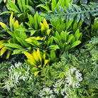 Artificial evergreen triptych living wall panels by Designer Plants USA, UV-resistant vertical garden set of 3 for commercial use.