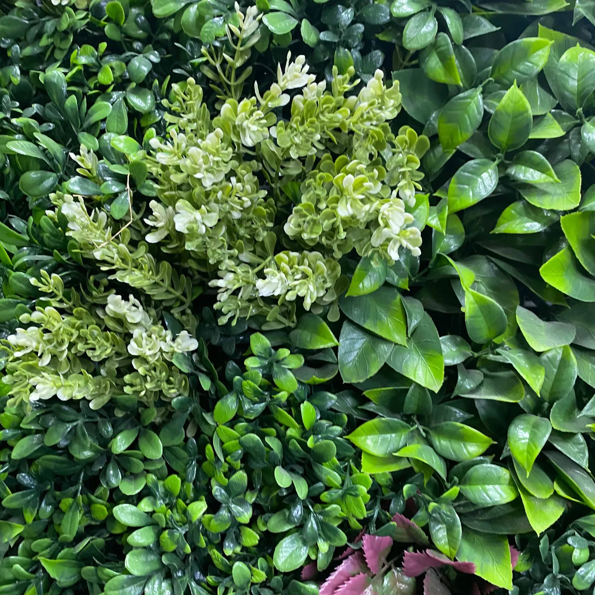 Artificial green wall panel set by Designer Plants USA, three UV-resistant living wall panels for vertical garden displays.