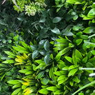 Set of three artificial evergreen living wall panels by Designer Plants USA, UV-resistant green wall for commercial or home use.