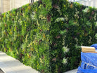 Artificial vertical garden panels by Designer Plants USA, outdoor living wall set of 3, UV resistant, commercial-grade green wall display