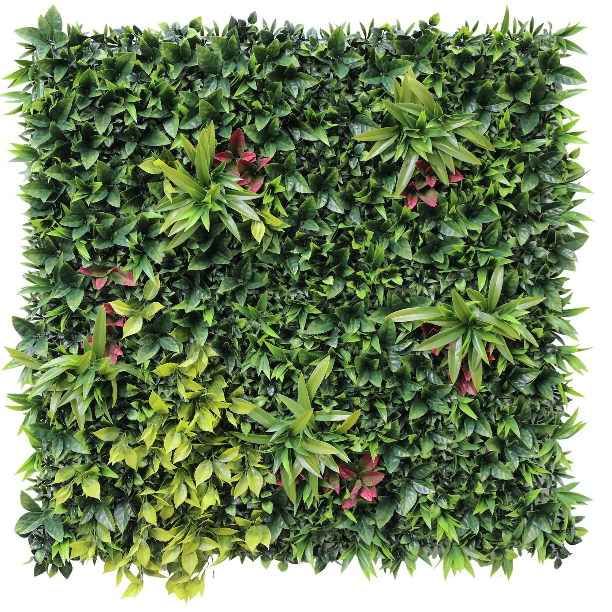 Artificial vertical garden wall panel with lush Mondo Grass, UV resistant, 40x40 inches, commercial grade living wall from Designer Plants USA.